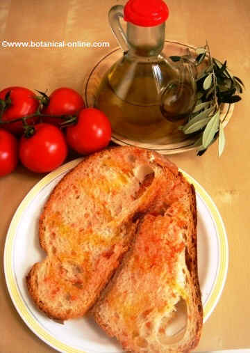 fotografía de receta de pan con tomate y aceite de oliva