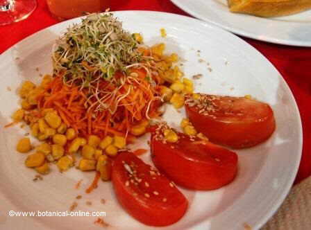 ENSALADA DE MAÍZ CON GERMINADOS