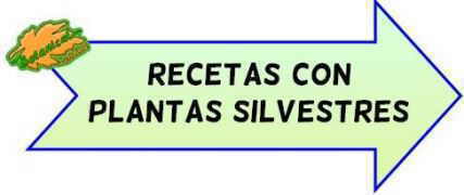 recetas con plantas silvestres