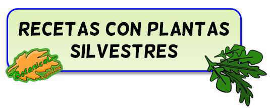 recetas plantas silvestres