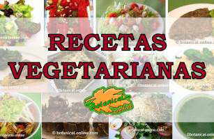 recetas vegetarianas