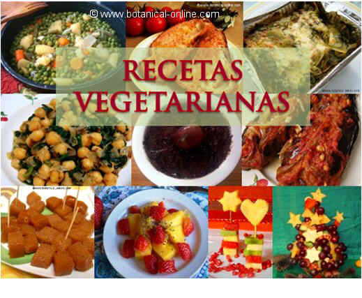 Recetas de cocina vegetariana