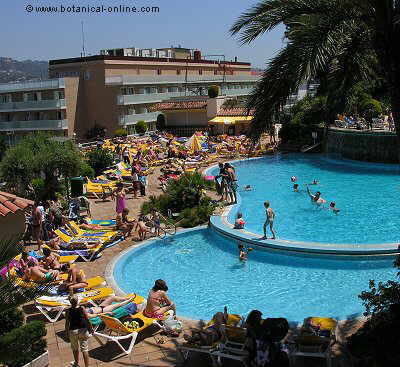 refrescarse en la piscina