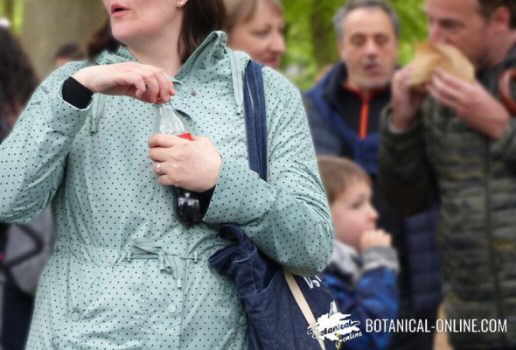 woman drinking a coke