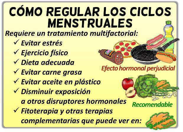 remedios regular estrogenos menstruacion sindrome premenstrual prolactina dieta disruptores hormonales