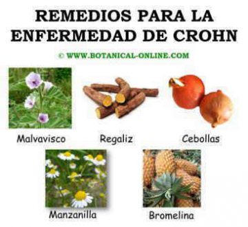 Remedios para la enfermedad de Crohn