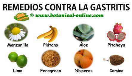 Plantas medicinales para la gastritis – Botanical-online