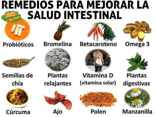 remedios, suplementos y plantas para mejorar enfermedades intestinales o del intestino