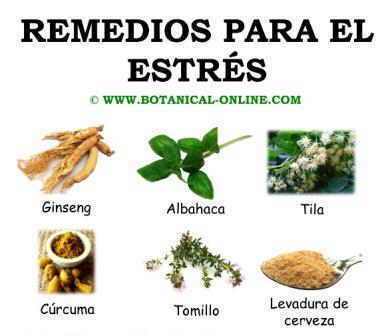 Remedios para el estrés