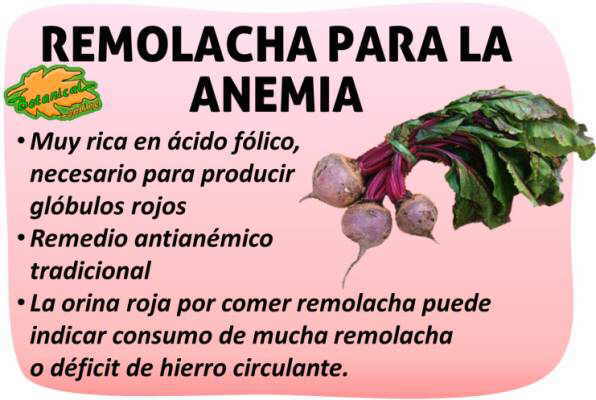 Propiedades de la remolacha para la anemia falta de hierro