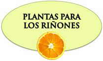 Remedios para los riñones