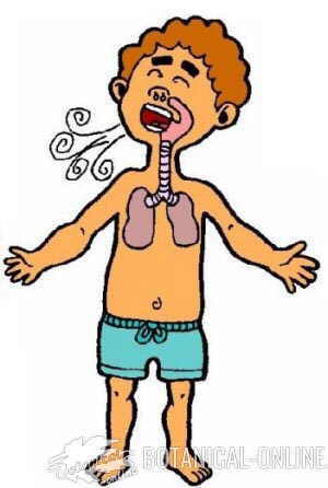 fumar cigarrillo