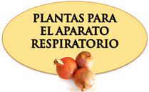 Remedios sistema respiratorio y pulmonar