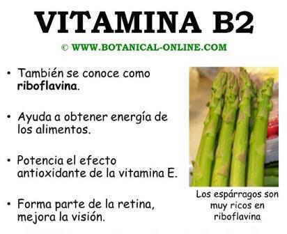 Propiedades de la vitamina B2 y espárragos