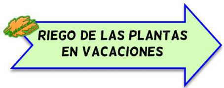 riego plantas en vacaciones