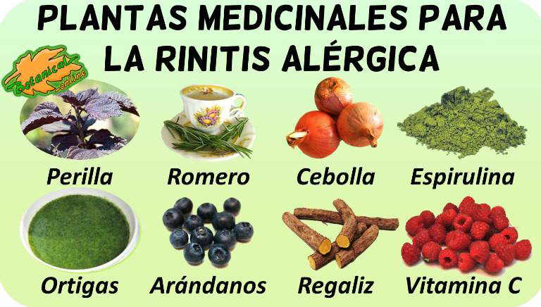 rinitis alergica fiebre del heno tratamiento natural