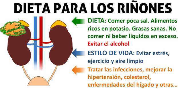 dieta saludable para los riñones