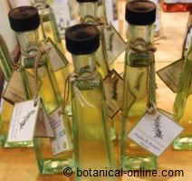 Aceite esencial de romero