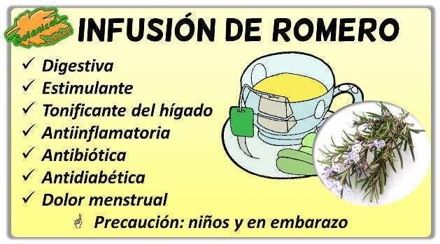 propiedades de la infusion de romero rosmarinus officinales beneficios