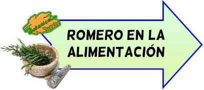 propiedades alimentarias del romero