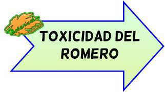 toxicidad del romero