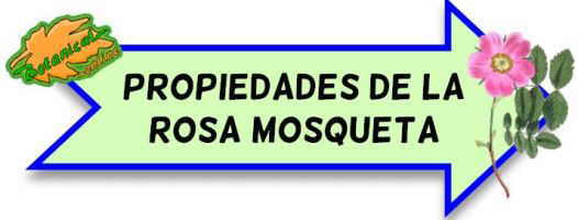 aceite de rosa mosqueta