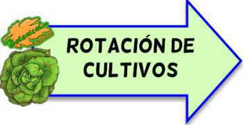 rotacion cultivos beneficios