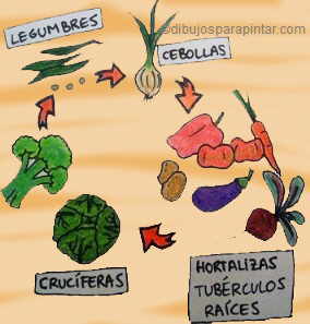 rotacion de cultivos