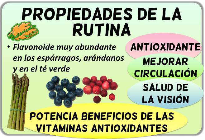 propiedades de la rutina flavonoide