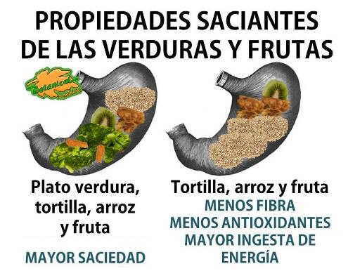 saciedad con frutas y verduras y fibra