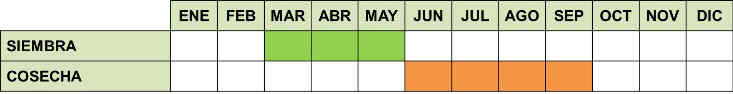 calendario de cultivo de la sandía