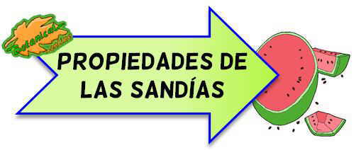 sandias propiedades