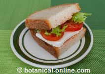 sandwich vegetariano