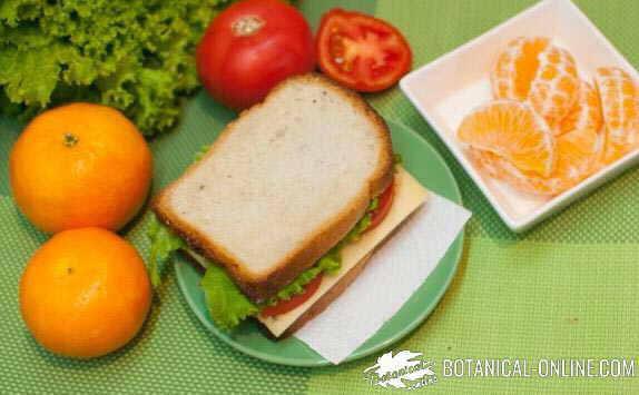 sandwich queso con fruta