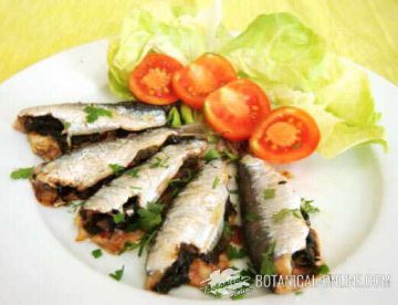 sardinas pescado azul