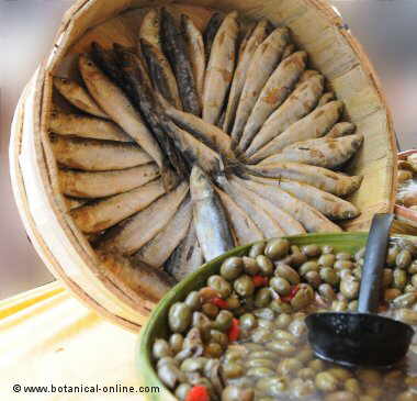 Sardinas saladas