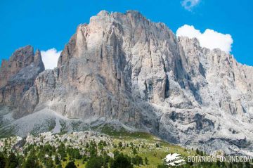 paisaje dolomitas