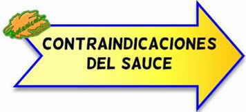 contraindicaciones del sauce