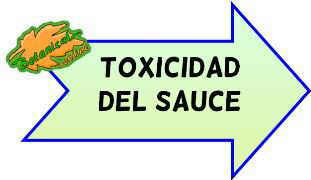 toxicidad del sauce