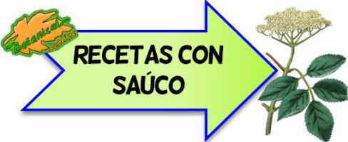 recetas con bayas de sauco