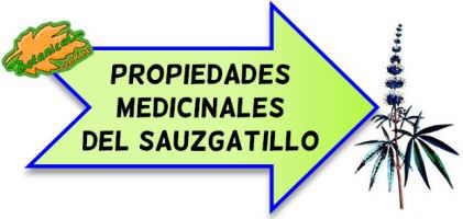 sauzgatillo propiedades medicinales