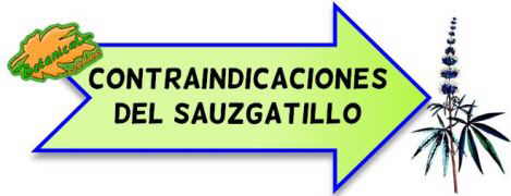 contraindicaciones del sauzgatillo