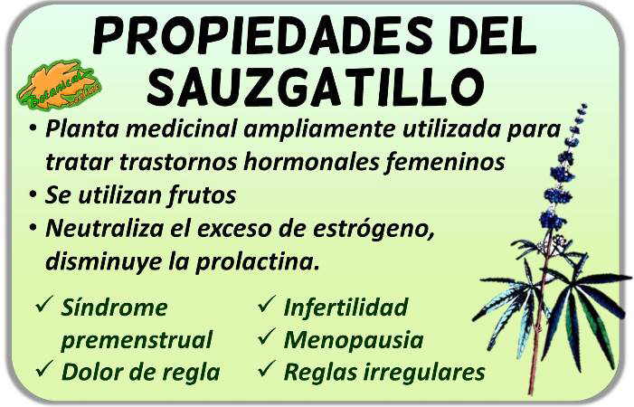 Propiedades medicinales del sauzgatillo, vitex agnus castus