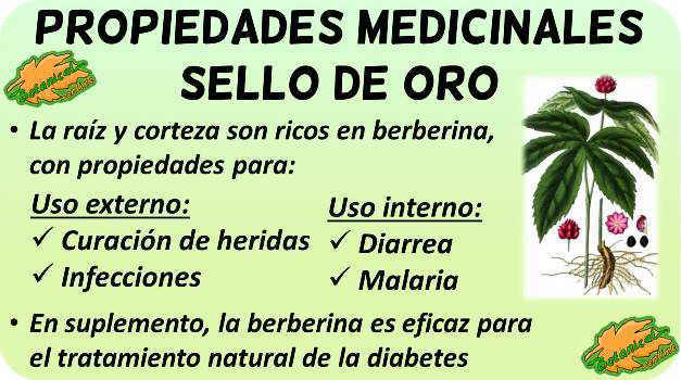 Propiedades sorprendentes del sello de oro