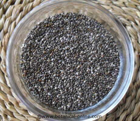 semillas de chia