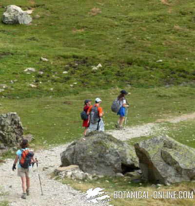 Ejercicio físico por la montaña, hombre andando con paisaje