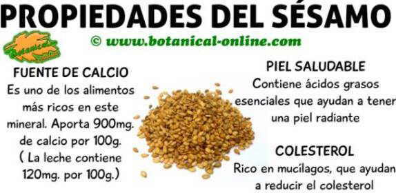 propiedades de las semillas de sesamo o ajonjoli