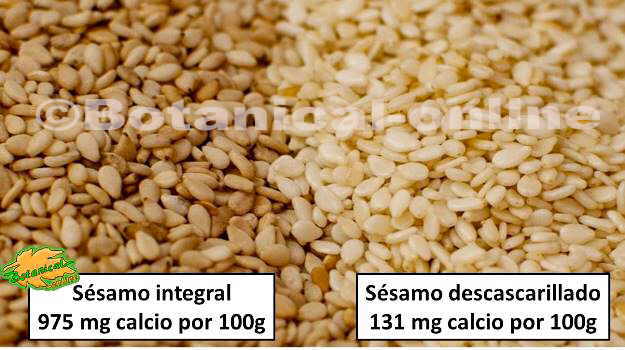 composicion sesamo calcio magnesio fibra proteinas omega