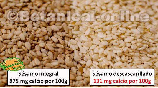 composicion sesamo calcio magnesio fibra proteinas omega