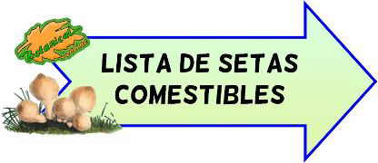 lista de setas comestibles